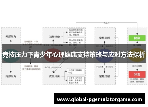 竞技压力下青少年心理健康支持策略与应对方法探析