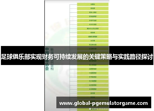 足球俱乐部实现财务可持续发展的关键策略与实践路径探讨