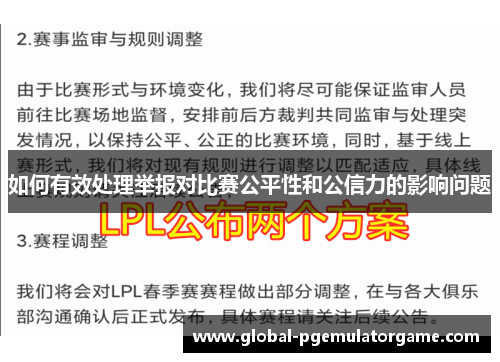如何有效处理举报对比赛公平性和公信力的影响问题