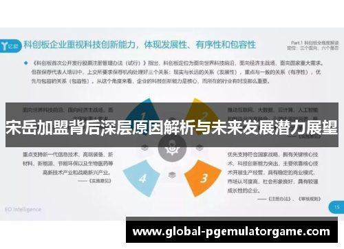 宋岳加盟背后深层原因解析与未来发展潜力展望