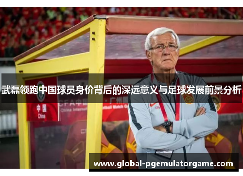 武磊领跑中国球员身价背后的深远意义与足球发展前景分析