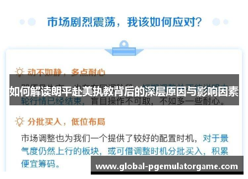如何解读朗平赴美执教背后的深层原因与影响因素