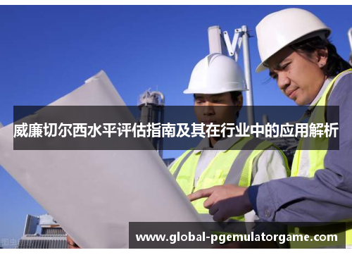 威廉切尔西水平评估指南及其在行业中的应用解析