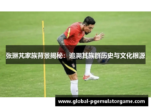 张琳芃家族背景揭秘：追溯其族群历史与文化根源