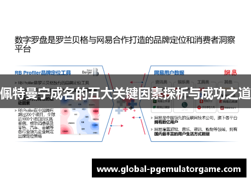 佩特曼宁成名的五大关键因素探析与成功之道