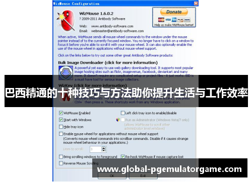 巴西精通的十种技巧与方法助你提升生活与工作效率