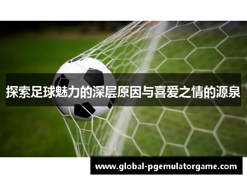 探索足球魅力的深层原因与喜爱之情的源泉