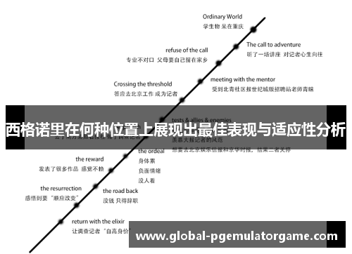 西格诺里在何种位置上展现出最佳表现与适应性分析