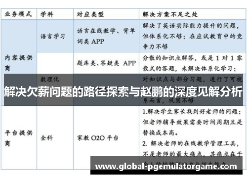 解决欠薪问题的路径探索与赵鹏的深度见解分析