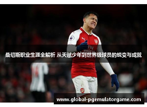 桑切斯职业生涯全解析 从天赋少年到世界级球员的蜕变与成就