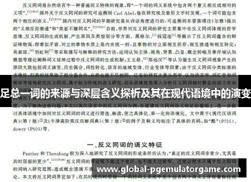 足总一词的来源与深层含义探析及其在现代语境中的演变