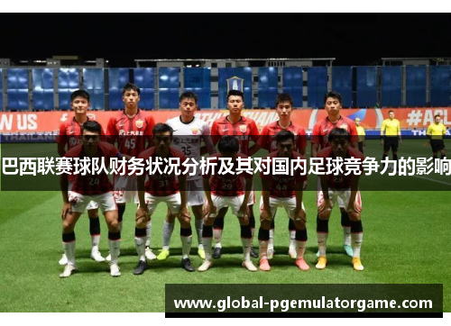 巴西联赛球队财务状况分析及其对国内足球竞争力的影响